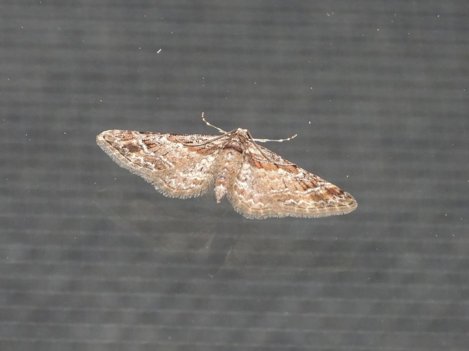 Welke spanner is dit